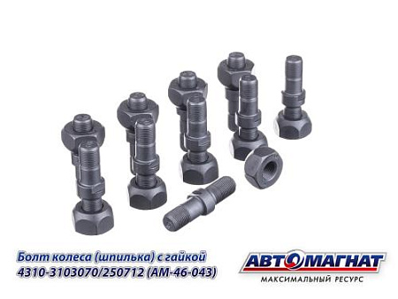 4310-3103070/250712 (AM-46-043) (АМ) Болт колеса (шпилька) с гайкой КАМАЗ-4310 (10)