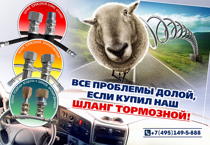 ШЛАНГИ ТОРМОЗНЫЕ